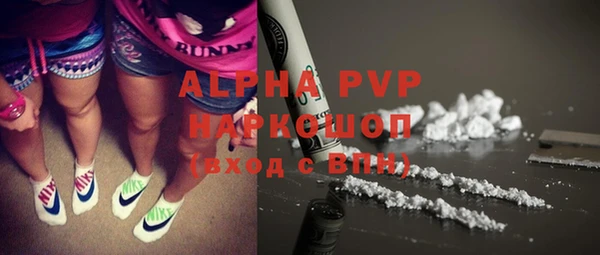 дурь Магас