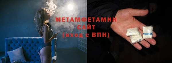 прущие грибы Чита