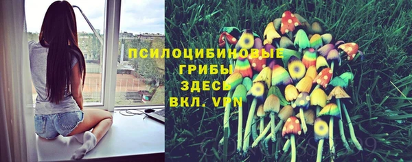ГАЛЛЮЦИНОГЕННЫЕ ГРИБЫ Арсеньев
