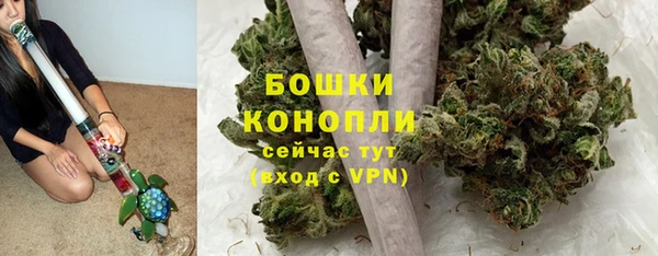 дурь Магас