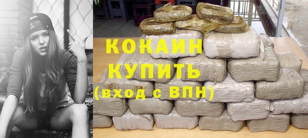 молекула духа Медвежьегорск