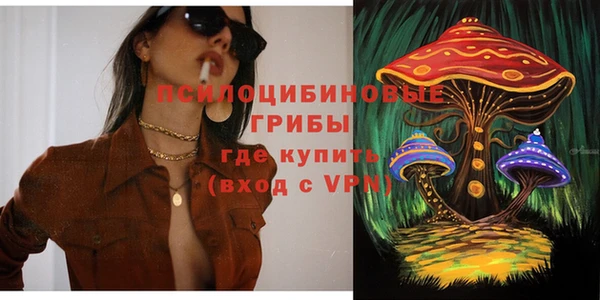 дурь Магас