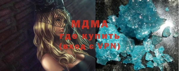 гидра Щигры