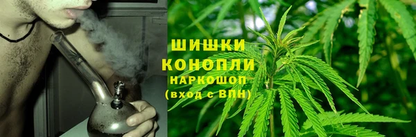 прущие грибы Михайлов
