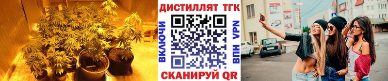 ТГК THC oil  сайты даркнета формула  кракен ССЫЛКА  Фатеж  где купить наркоту 