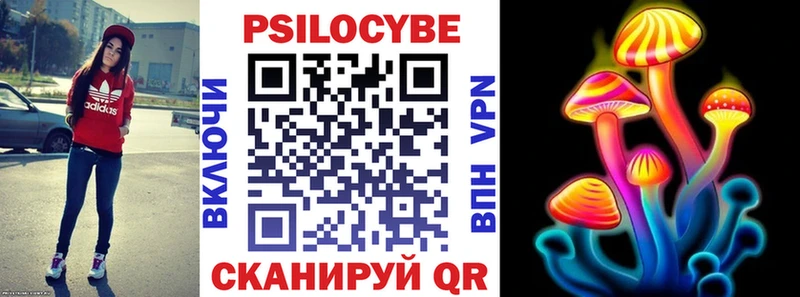 Псилоцибиновые грибы Cubensis  Фатеж 